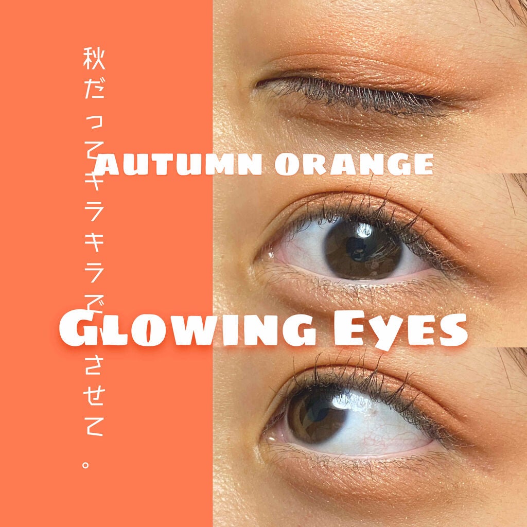 グロッシーリッチ アイズ N/Visée/アイシャドウパレットを使ったクチコミ(1枚目)