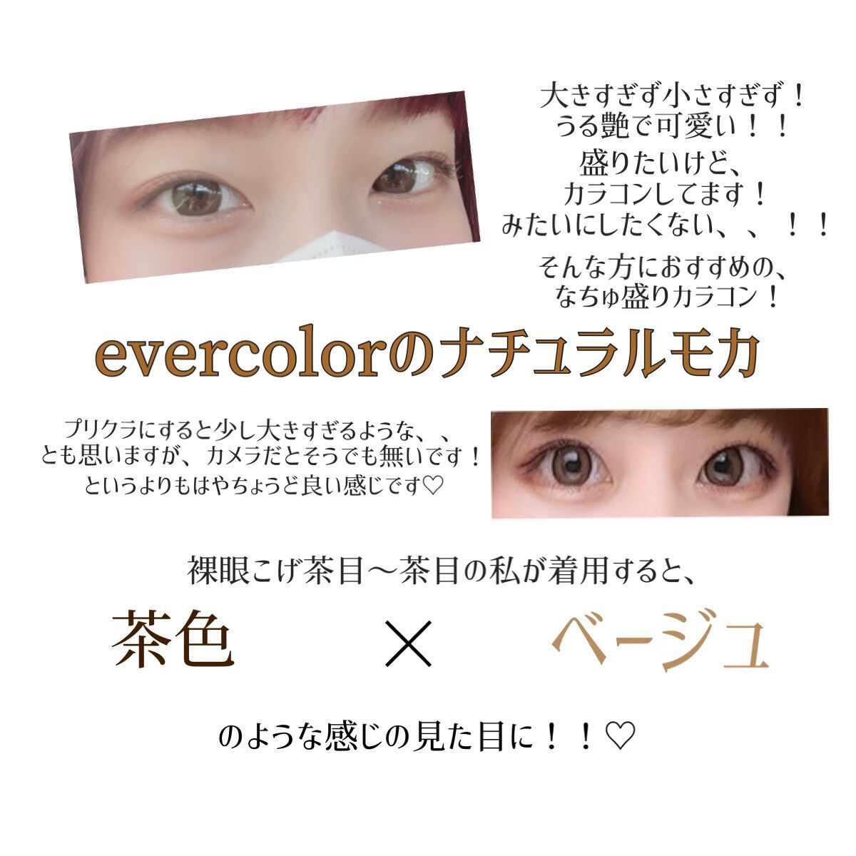 エバーカラーワンデー ナチュラル ナチュラルモカ/エバーカラー/ワンデー（１DAY）カラコンを使ったクチコミ（2枚目）