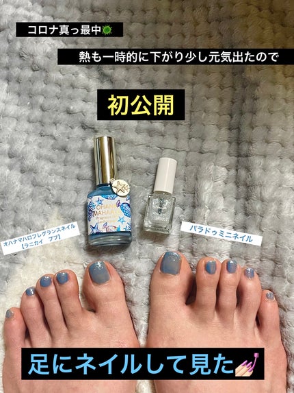 オハナ・マハロ フレグランスネイル 〈ピカケ アウリィ〉 ラニカイププ ONM-08/OHANA MAHAALO/マニキュアの画像