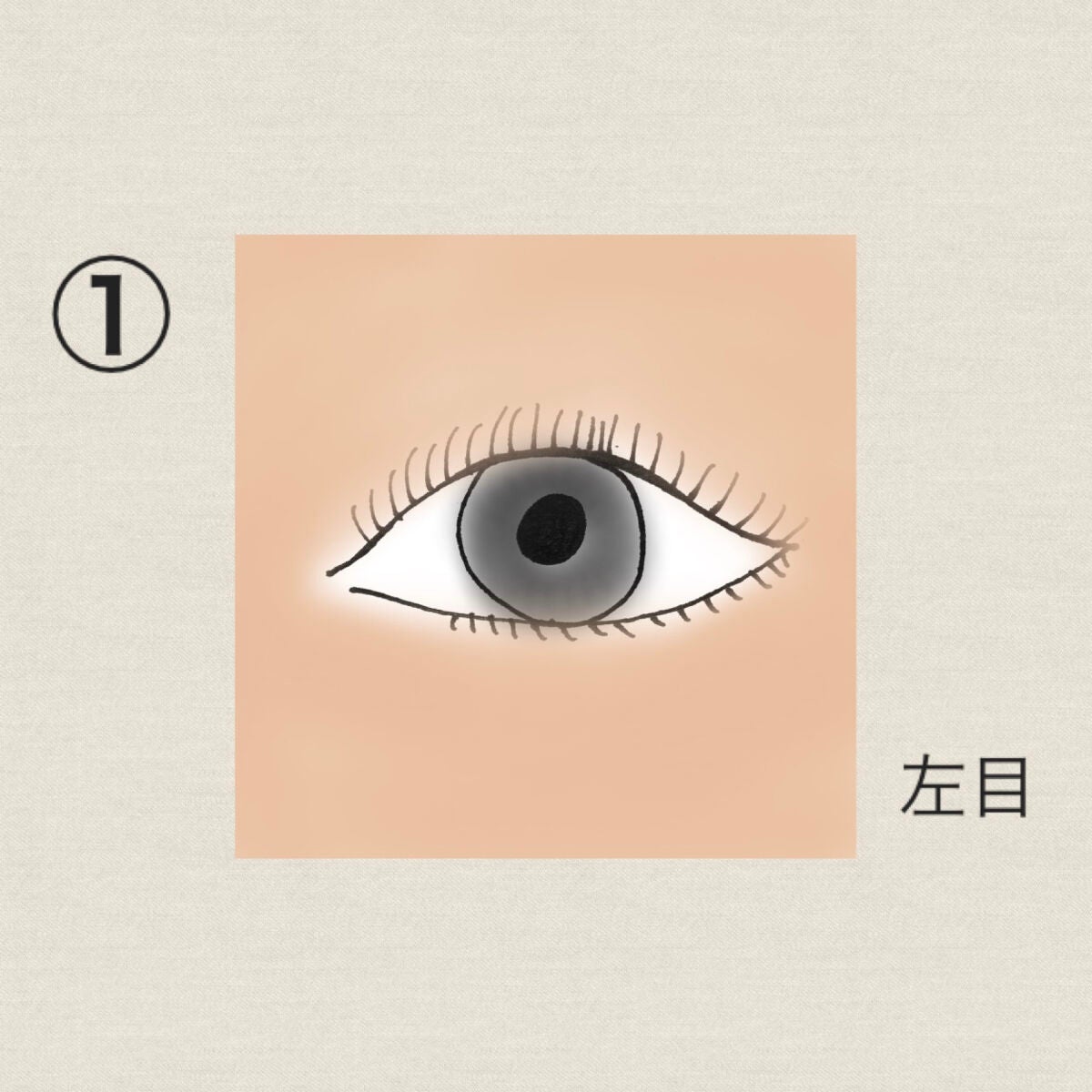 スキニーリッチシャドウ/excel/アイシャドウパレットを使ったクチコミ(3枚目)