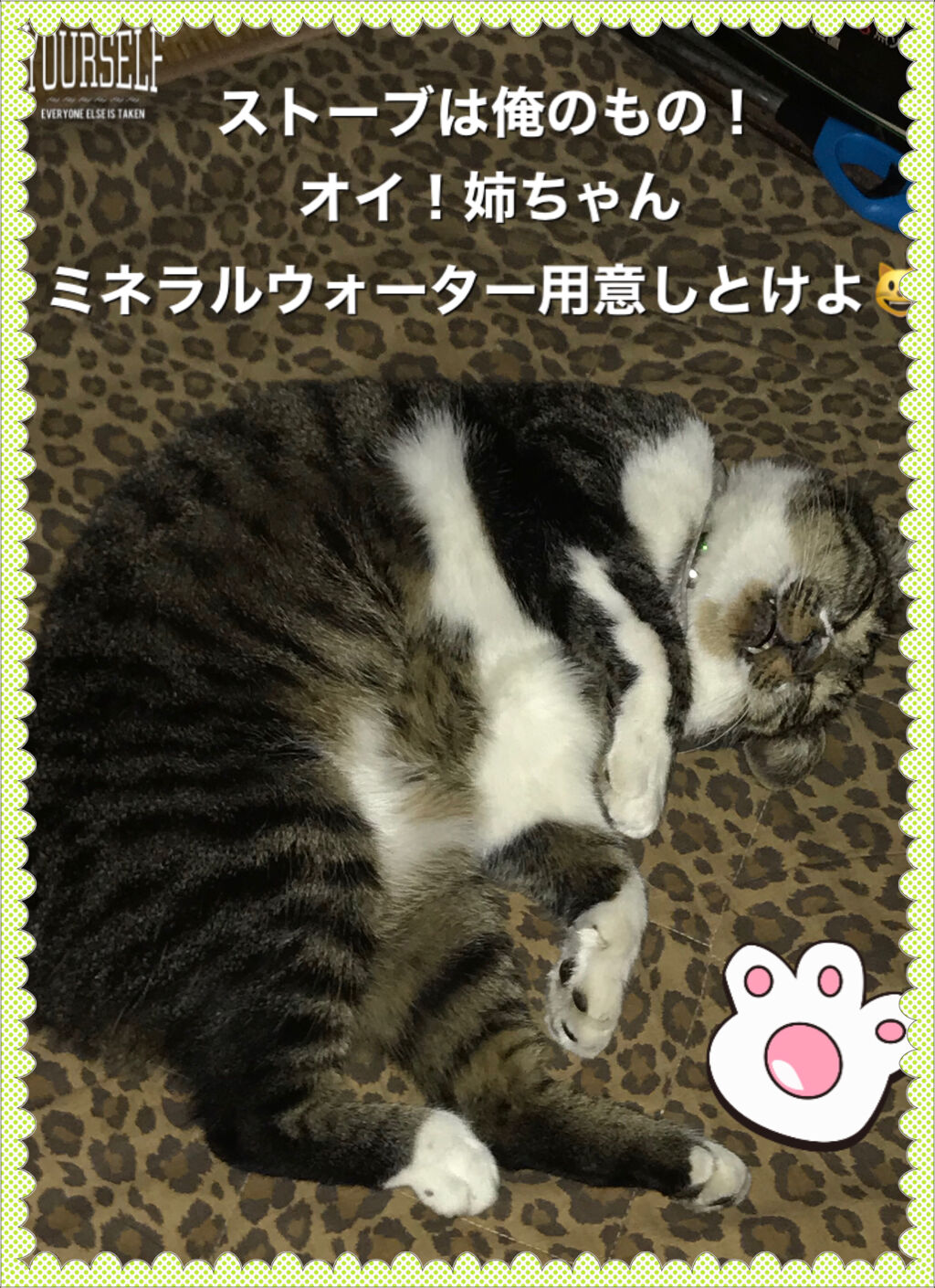 ジェルネイル（ライト対応）/セリア/ジェルネイルを使ったクチコミ（2枚目）