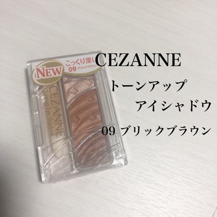 トーンアップアイシャドウ/CEZANNE/アイシャドウパレットを使ったクチコミ(1枚目)