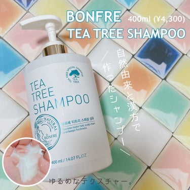 BONFRE TEA TREE SHAMPOO/NICHIRICH/シャンプー・コンディショナーを使ったクチコミ（1枚目）