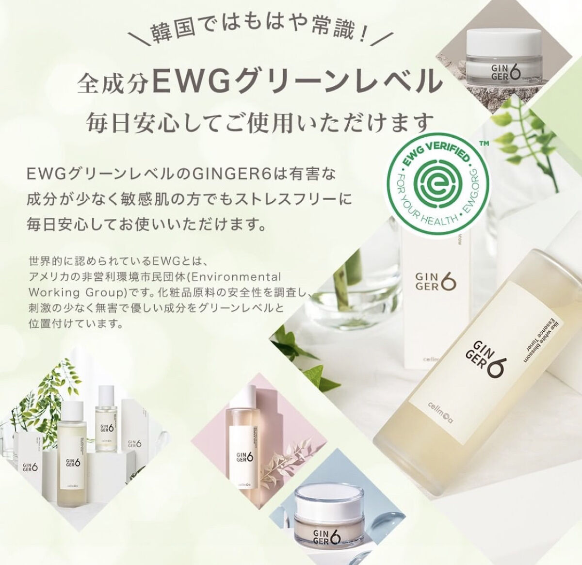 ハンドクリーム/GINGER6/ハンドクリームを使ったクチコミ（2枚目）