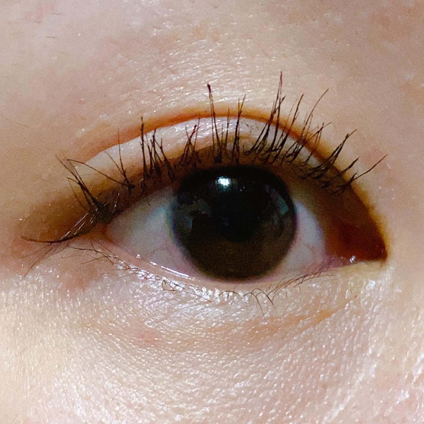 ã¹ã«ã€ãã€/MAYBELLINE NEW YORK/ãã¹ã«ã©ã䜿ã£ãã¯ãã³ãïŒ8æç®ïŒ