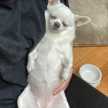 しに子ちゃん on LIPS 「コーヒーメーカー買ったった。全自動!マグニフィカくん!タイマー..」(4枚目)