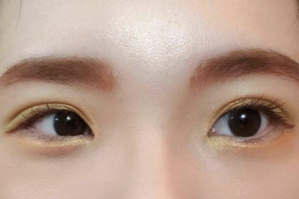 プレスド アイシャドー(レフィル)/shu uemura/単色アイシャドウを使ったクチコミ(6枚目)