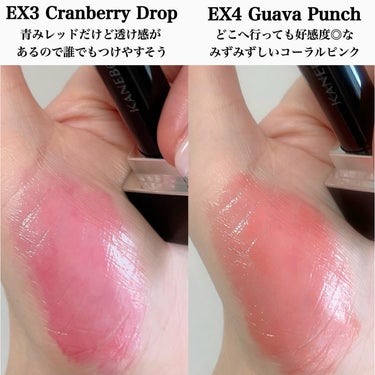 ルージュスターヴァイブラント EX4 Guava Punch/KANEBO/口紅を使ったクチコミ（2枚目）