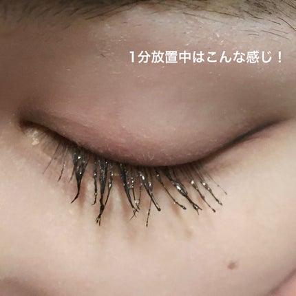 ãã¹ã«ã©ãªã ãŒããŒ/ããã§ã¹ã¿/ãã€ã³ãã¡ã€ã¯ãªã ãŒããŒã䜿ã£ãã¯ãã³ãïŒ4æç®ïŒ