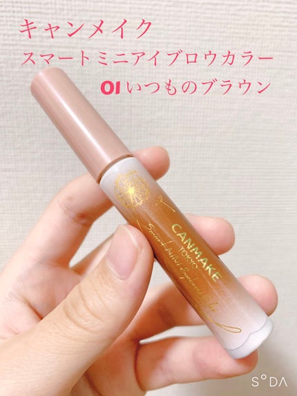スマートミニアイブロウカラー/キャンメイク/眉マスカラを使ったクチコミ(2枚目)