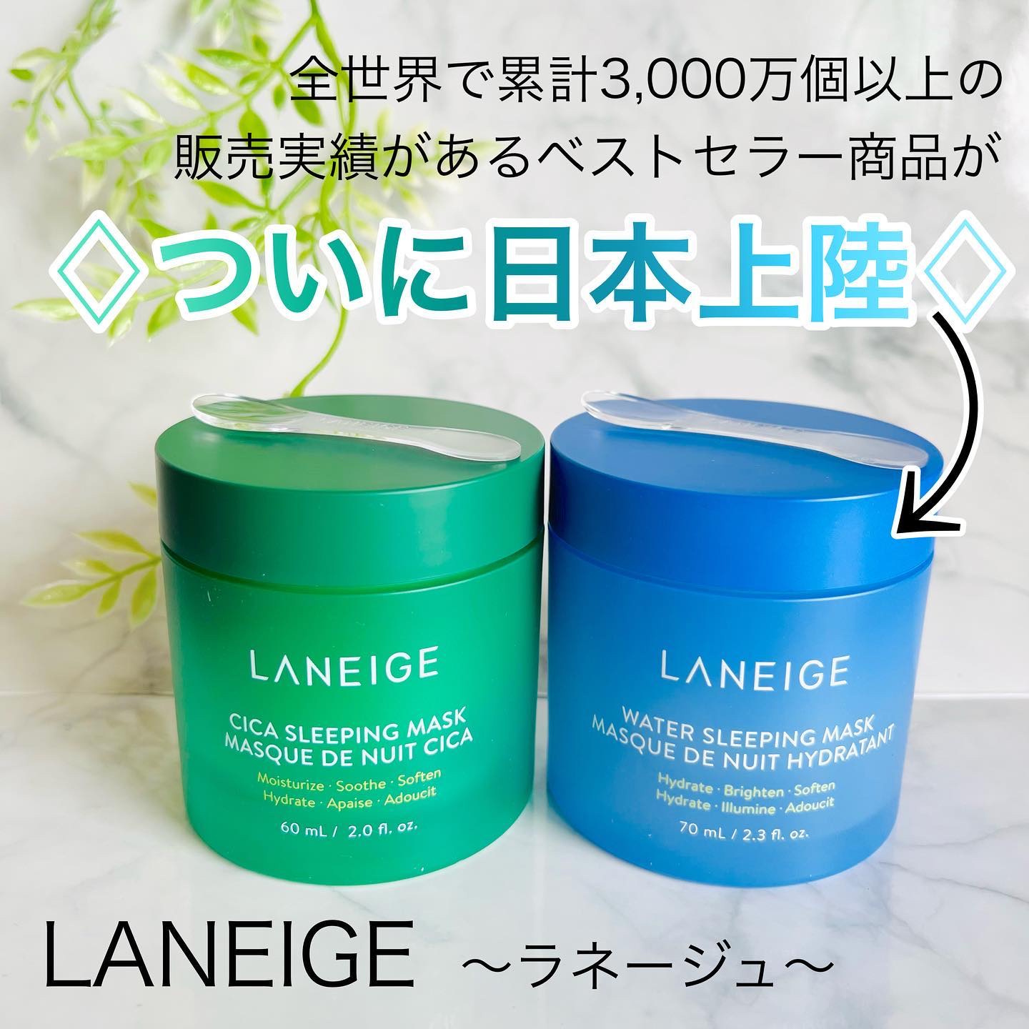 シカスリーピングマスク/LANEIGE/フェイスクリームを使ったクチコミ（1枚目）