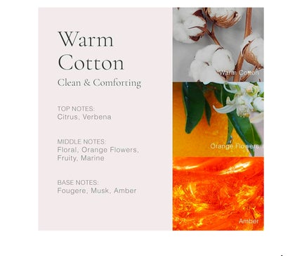 クリーン クラシック ウォームコットン オードパルファム/CLEAN/香水(その他)を使ったクチコミ(2枚目)