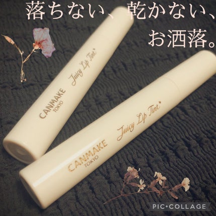 ジューシーリップティント/キャンメイク/口紅を使ったクチコミ(1枚目)