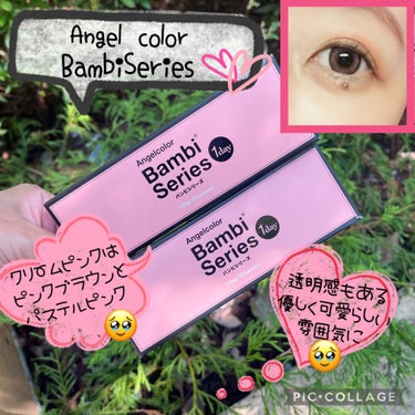 Angelcolor Bambi Series 1day  クリームピンク/AngelColor/ワンデー（１DAY）カラコンを使ったクチコミ（1枚目）