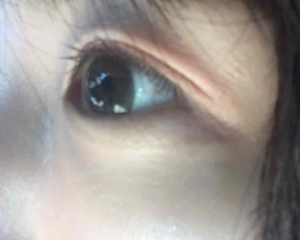 ReVIA 1day [COLOR] Nostalgia（ノスタルジア）/ReVIA/ワンデー（１DAY）カラコンを使ったクチコミ（2枚目）