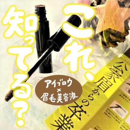 ゴルマユ/水橋保寿堂製薬/眉マスカラを使ったクチコミ(1枚目)