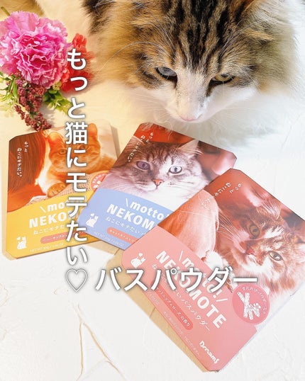 みなも on LIPS 「@minamo.beauty_cafe\ もっと猫にモテたい❤..」(1枚目)