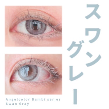 Angelcolor Bambi Series 1day /AngelColor/ワンデー（１DAY）カラコンを使ったクチコミ（1枚目）