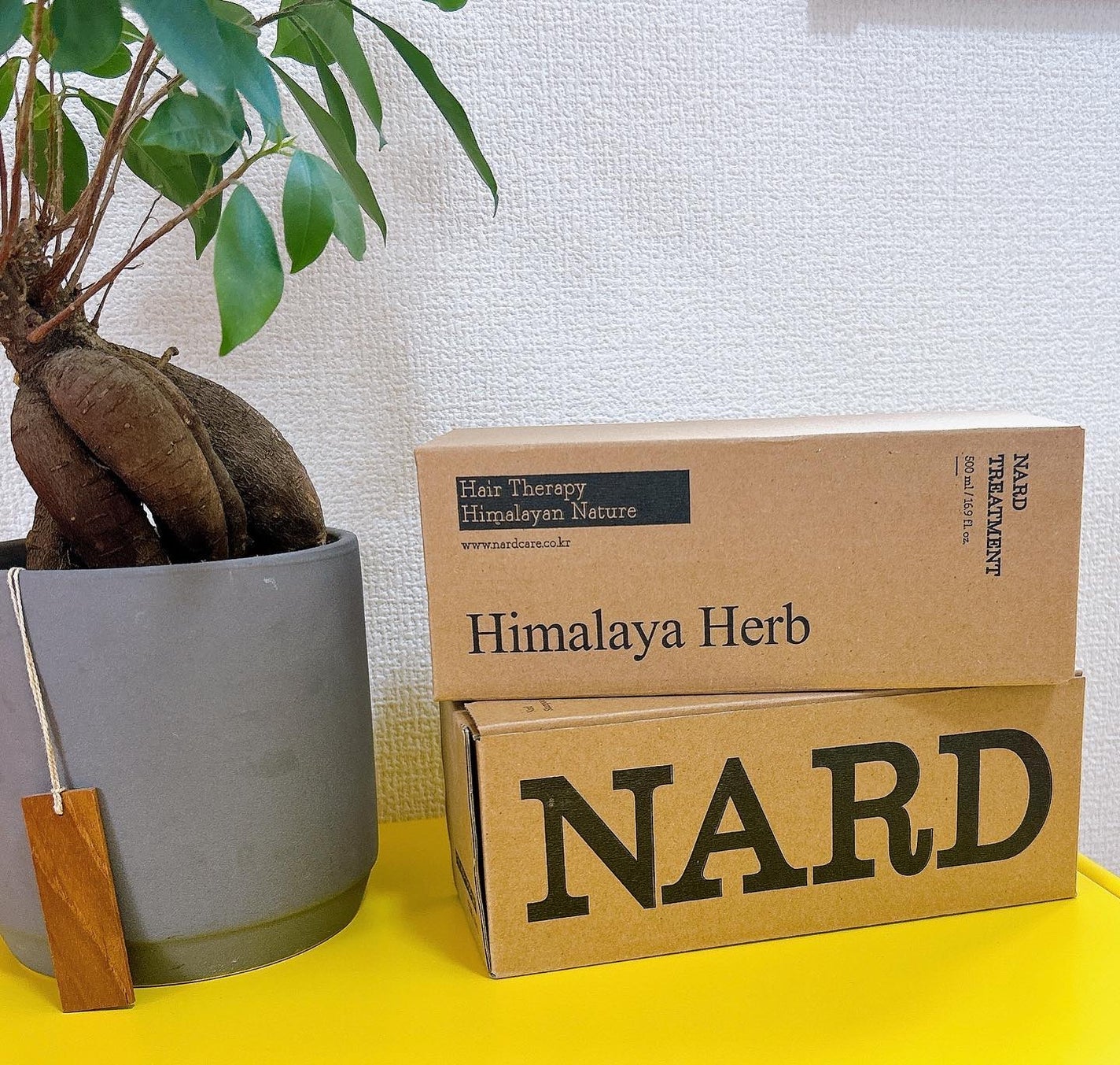 NARD シャンプー/NARD/市販シャンプーを使ったクチコミ(3枚目)