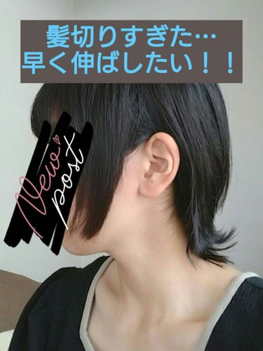 ヘアアクセルレーター レモンライムの香り/加美乃素本舗/頭皮ケアを使ったクチコミ（1枚目）