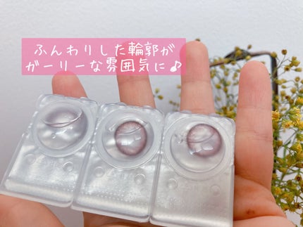 MOLAK 1day/MOLAK/ã¯ã³ããŒïŒïŒDAYïŒã«ã©ã³ã³ã䜿ã£ãã¯ãã³ãïŒ3æç®ïŒ