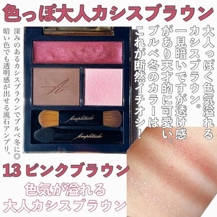 コンスピキュアス アイズ/Amplitude/アイシャドウパレットを使ったクチコミ(10枚目)