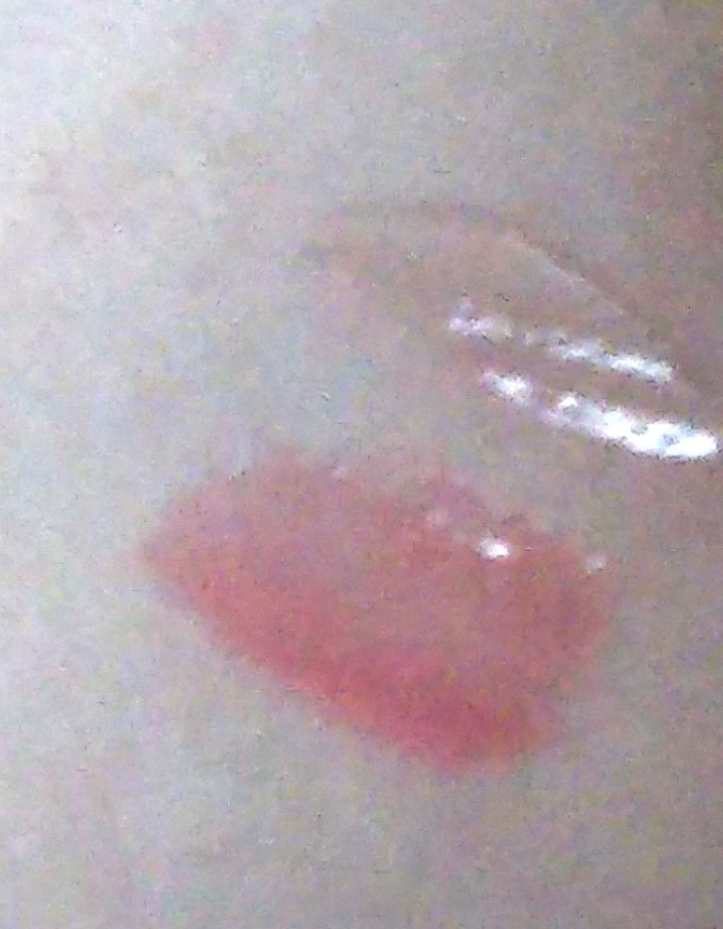 メルティーリップセラム/プランプピンク/リップグロスを使ったクチコミ（3枚目）