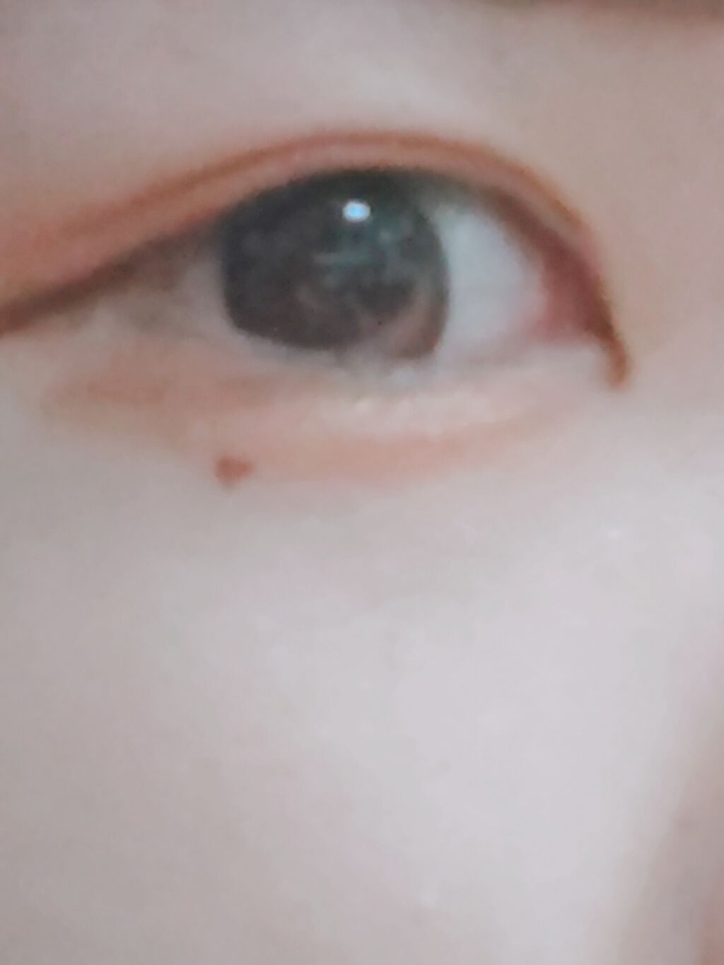 リシェ リキッド アイライナー/Visée/リキッドアイライナーを使ったクチコミ(2枚目)