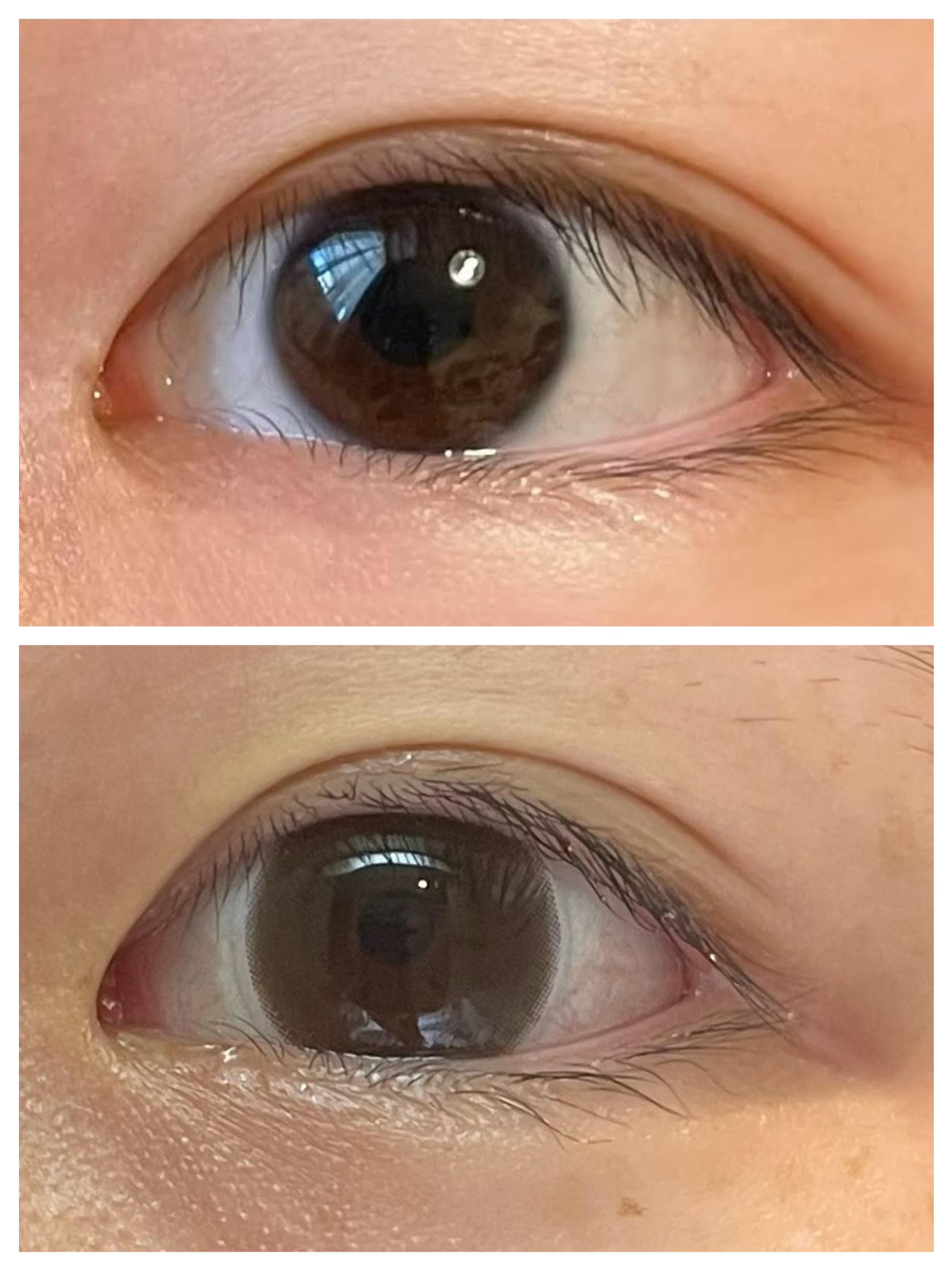 ReVIA 1day [CIRCLE] BROWN（ブラウン）/ReVIA/ワンデー（１DAY）カラコンを使ったクチコミ（2枚目）