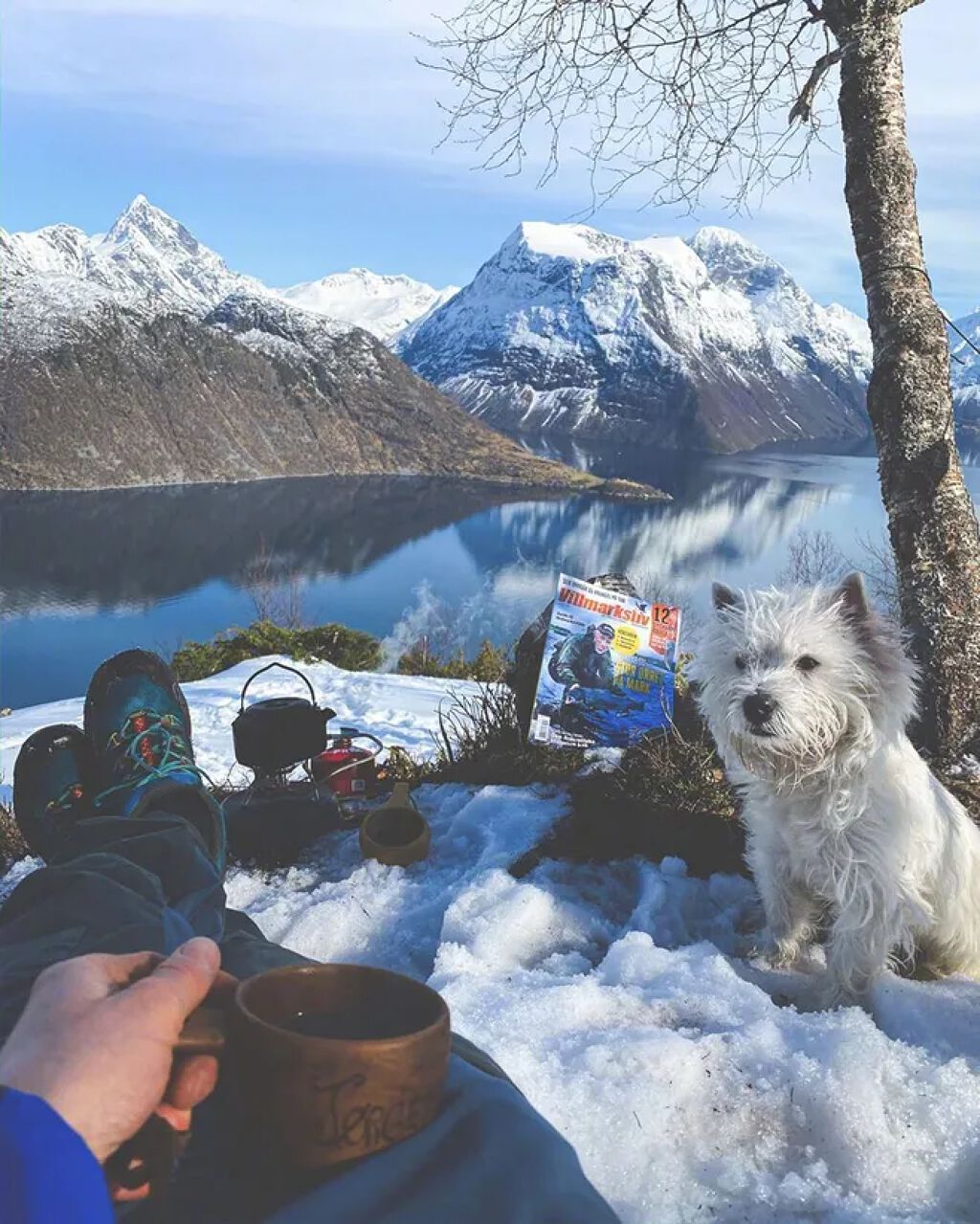 shinasaka 脱毛器 光美容器/shinasaka/家庭用脱毛器を使ったクチコミ（1枚目）