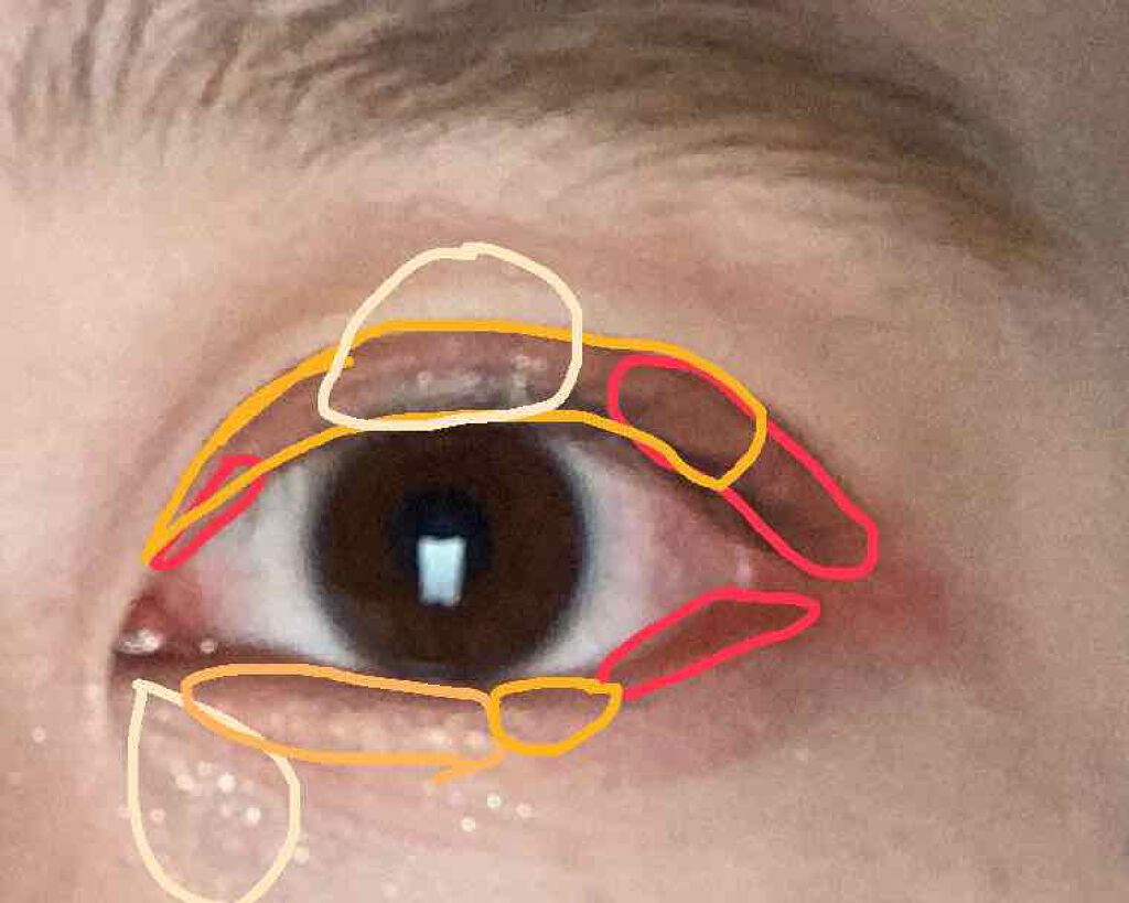 プロ アイ パレット/CLIO/アイシャドウパレットを使ったクチコミ(3枚目)