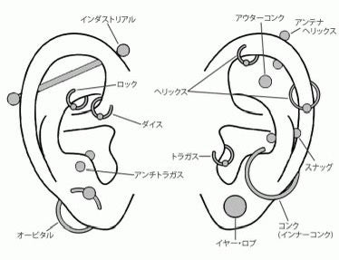 ゆち。 on LIPS 「♡個人的ピアスの痛みランキング♡右耳ロブ5連ロブの上に1つヘリ..」(3枚目)