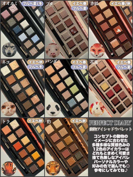 エクスプローラ12色 動物アイシャドウパレット/PERFECT DIARY/アイシャドウパレットを使ったクチコミ(2枚目)