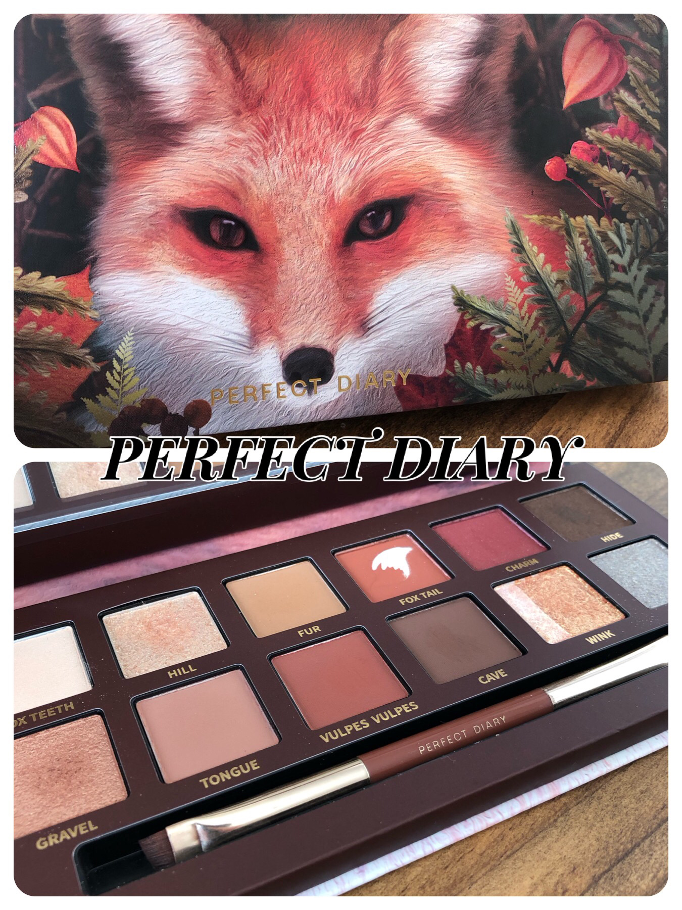 エクスプローラ12色 動物アイシャドウパレット/PERFECT DIARY/アイシャドウパレットを使ったクチコミ（1枚目）