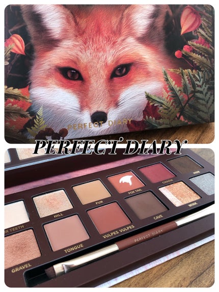 エクスプローラ12色 動物アイシャドウパレット/PERFECT DIARY/アイシャドウパレットを使ったクチコミ(1枚目)