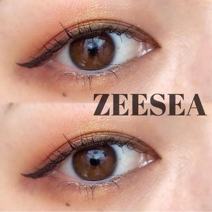 倧è±åç©é€š ãšãžããã·ãªãŒãº ã¢ã€ã·ã£ããŠãã¬ãã/ZEESEA/ã¢ã€ã·ã£ããŠãã¬ããã䜿ã£ãã¯ãã³ãïŒ1æç®ïŒ