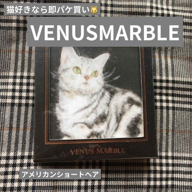 Venus Marble アイシャドウキャットシリーズ/Venus Marble/パウダーアイシャドウを使ったクチコミ（1枚目）