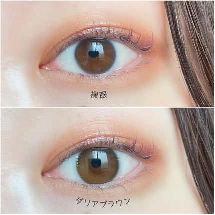 ダリアブラウンマンスリー (DAHLIA BROWN monthly)/OLOLA/1ヶ月(1MONTH)カラコンを使ったクチコミ(3枚目)