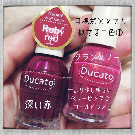 ナチュラルネイルカラーN/デュカート/マニキュアを使ったクチコミ(4枚目)