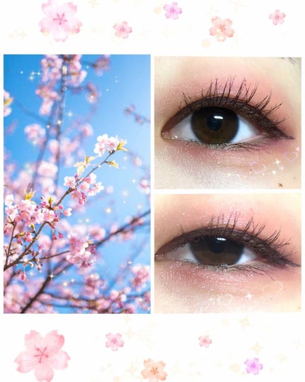 【旧品】パーフェクトスタイリストアイズ/キャンメイク/アイシャドウパレットを使ったクチコミ(1枚目)