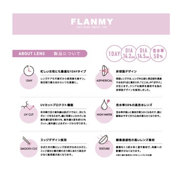 FLANMY 1day（10枚/30枚） FLANMY