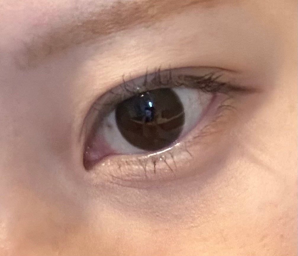 N’s COLLECTION 1day/N’s COLLECTION/ワンデー(1DAY)カラコンを使ったクチコミ(5枚目)