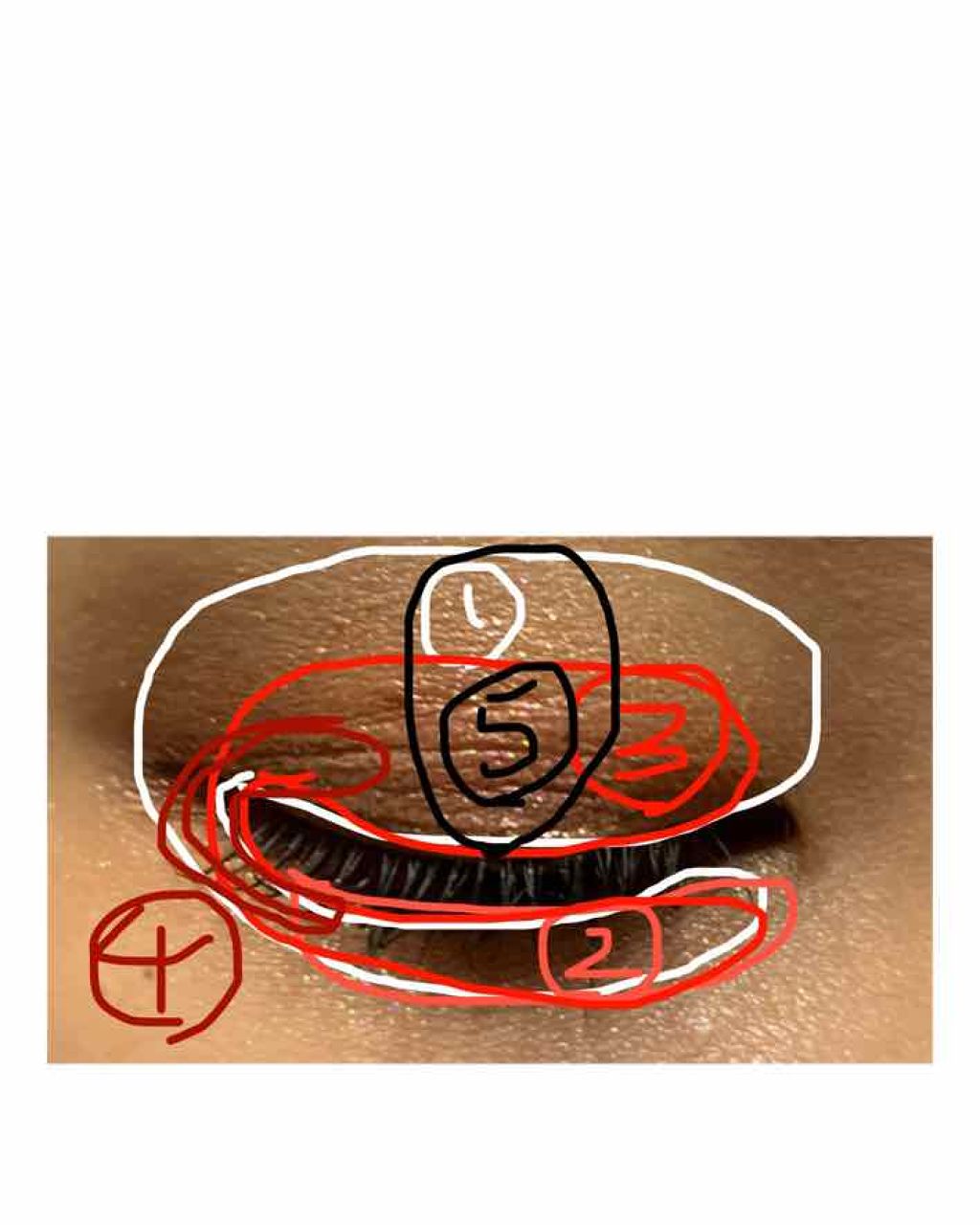 プロ アイ パレット/CLIO/アイシャドウパレットを使ったクチコミ(4枚目)