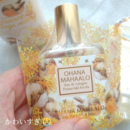 オハナ・マハロ オーデコロン〈プアナラキ ホオラ〉/OHANA MAHAALO/香水(レディース)を使ったクチコミ(2枚目)