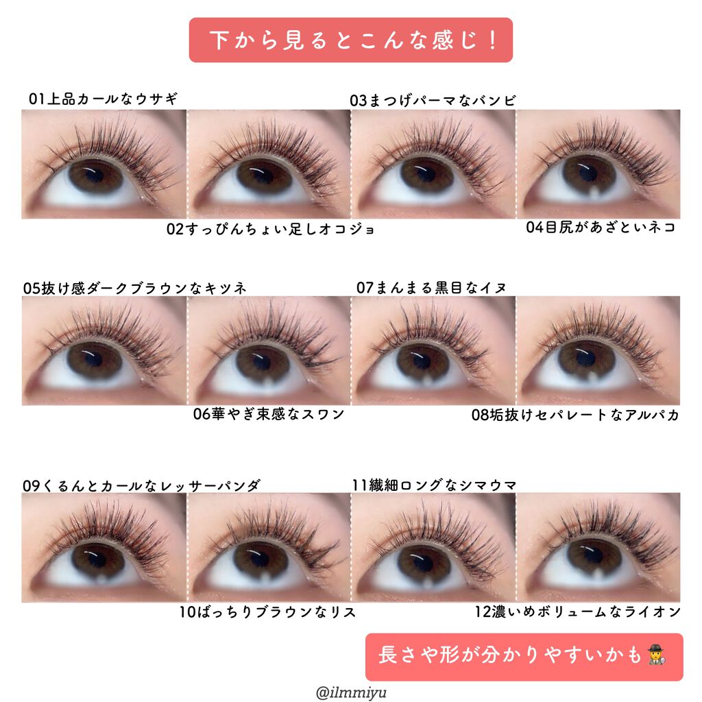 ドーリーウインク サロンアイラッシュ/ドーリーウインク/つけまつげを使ったクチコミ(3枚目)