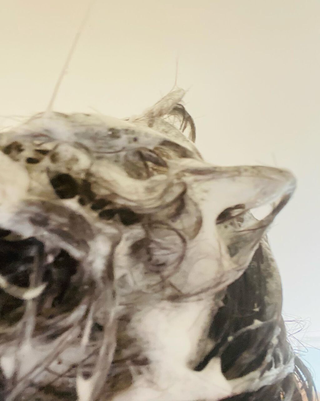 髪がうるおう精油シャンプー/トリートメント しっとり /kokoroe/シャンプー・コンディショナーを使ったクチコミ(4枚目)