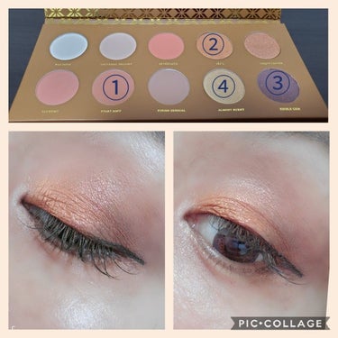 PREMIERE BLUSH PALETTE/ZOEVA/パウダーアイシャドウを使ったクチコミ（3枚目）