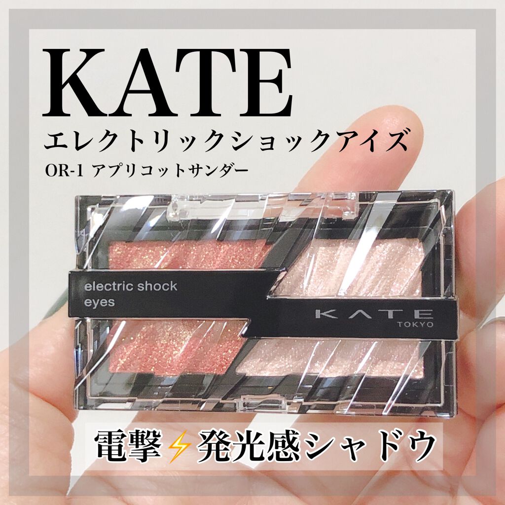 エレクトリックショックアイズ /KATE/アイシャドウパレットを使ったクチコミ(1枚目)