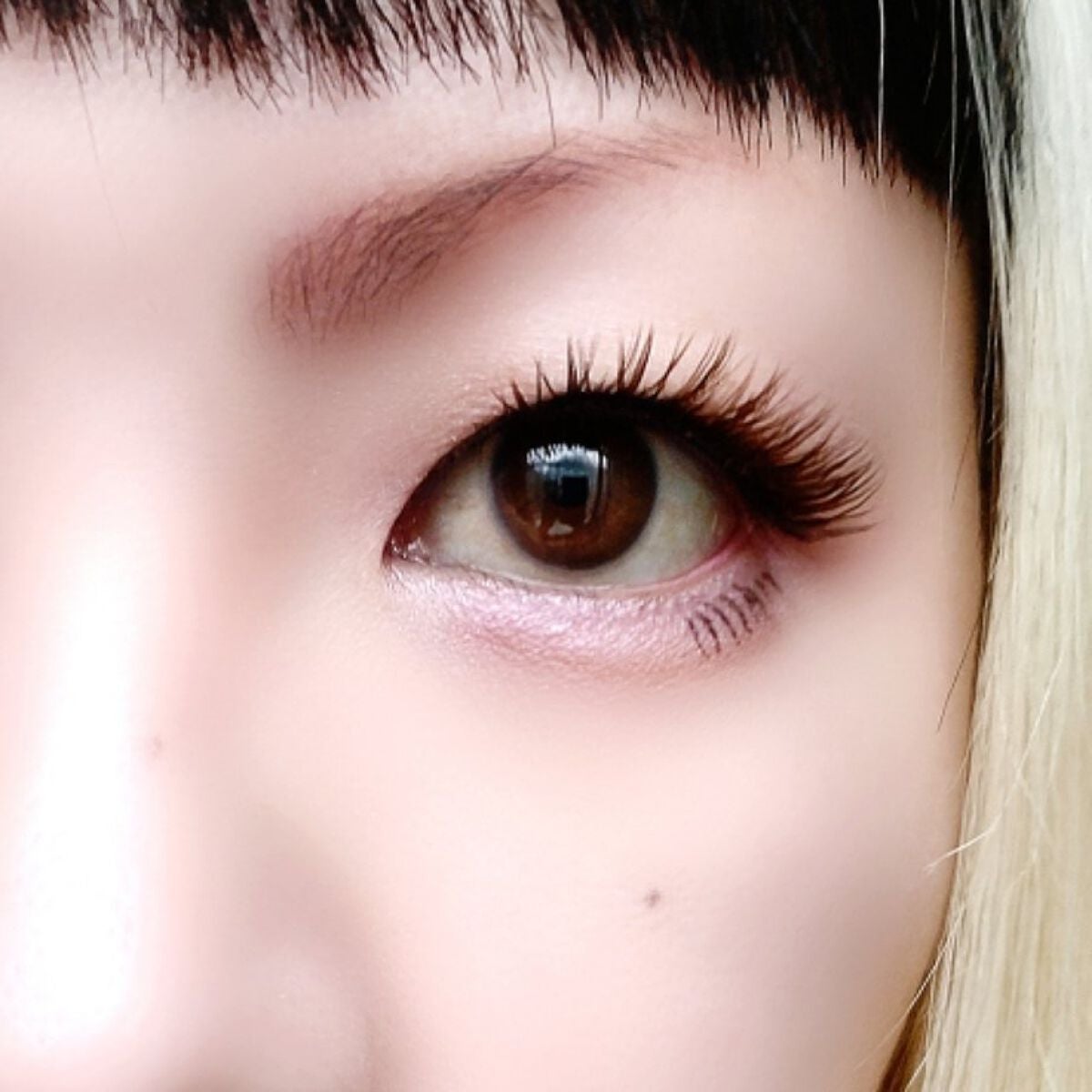 ツイン カラー アイシャドウ/ちふれ/アイシャドウパレットを使ったクチコミ(6枚目)