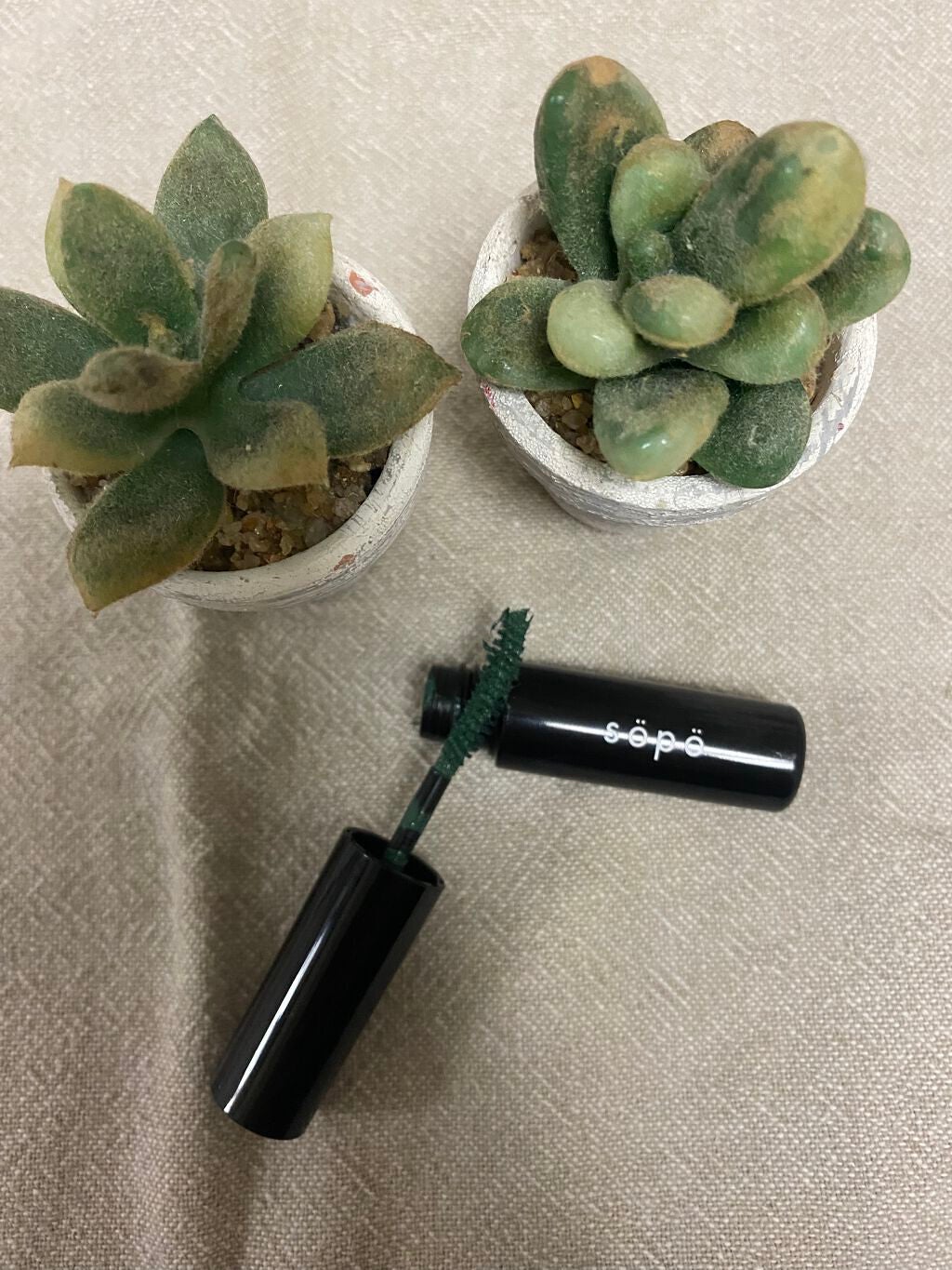 カラーマスカラ/sopo/マスカラを使ったクチコミ(1枚目)